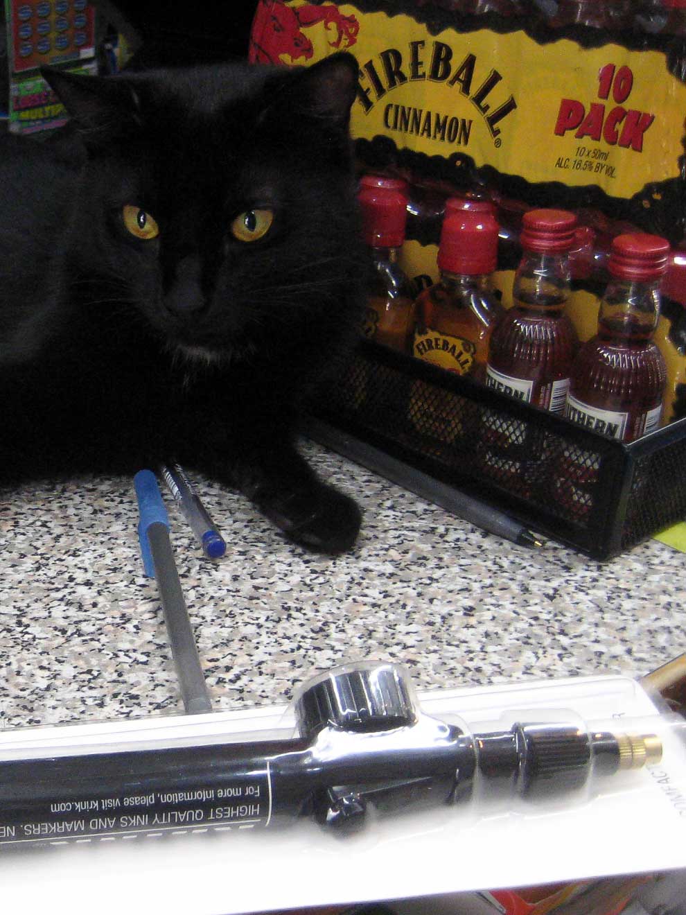 NYC Bodega Cat – Krink